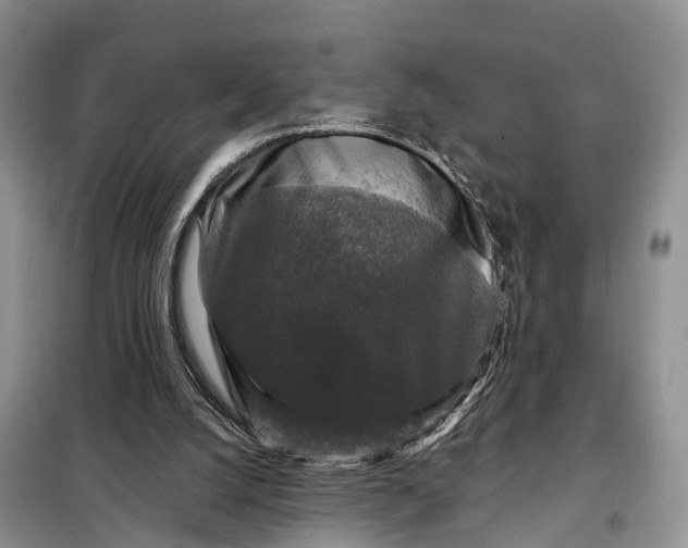 X0000097990056200804071203