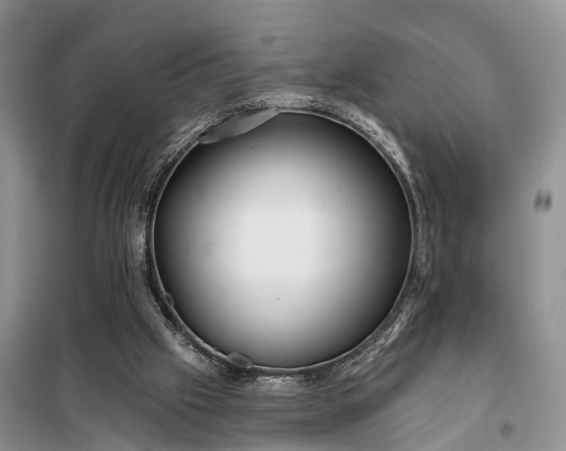 X0000097990057200804071203