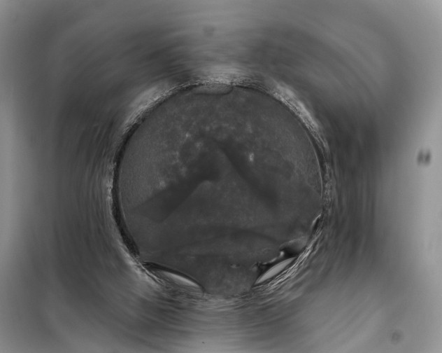 X0000097990058200804071203