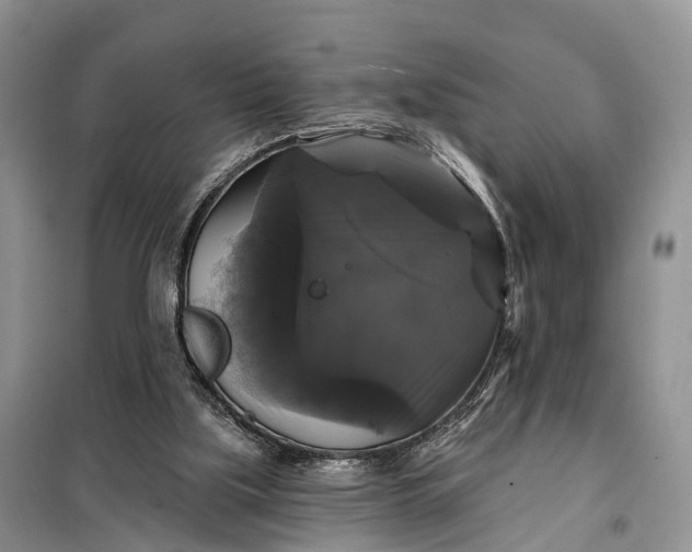 X0000097990059200804071203