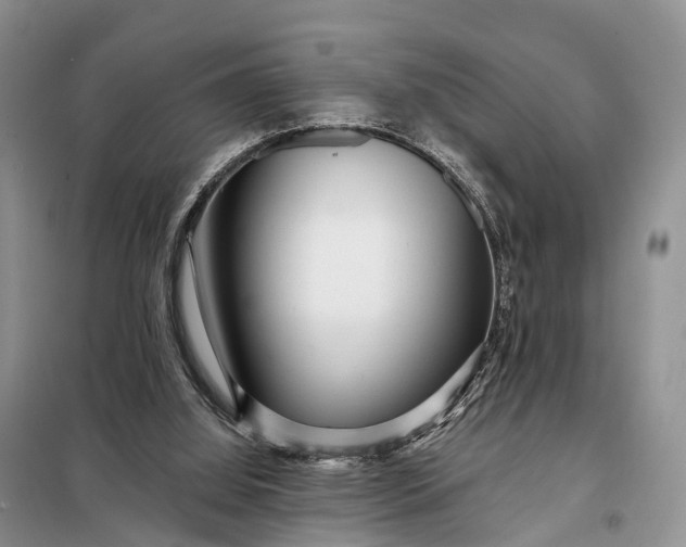 X0000097990060200804071203
