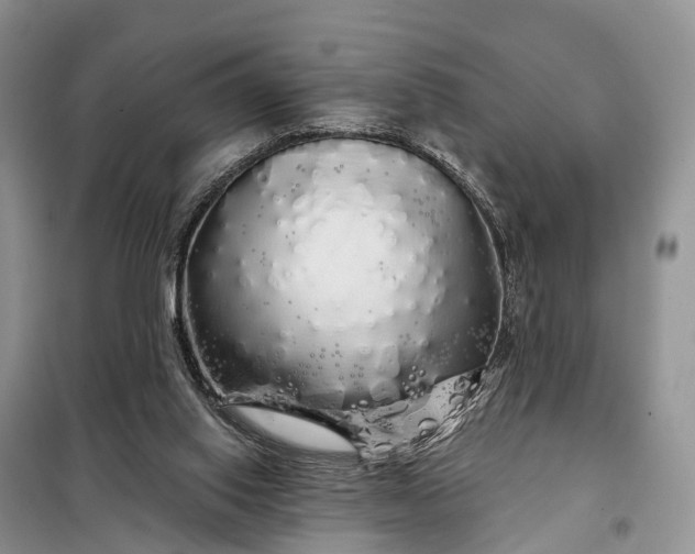 X0000097990062200804071203