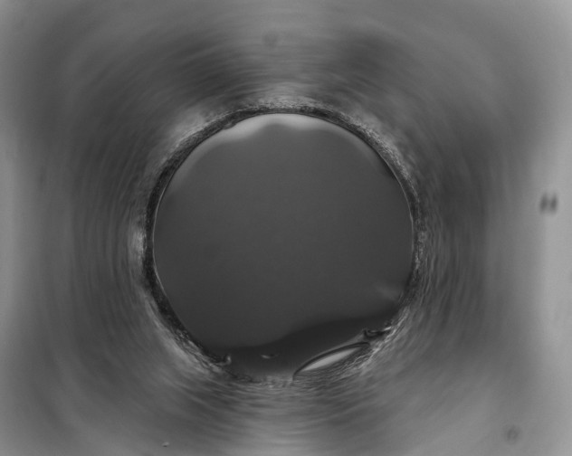 X0000097990063200804071203