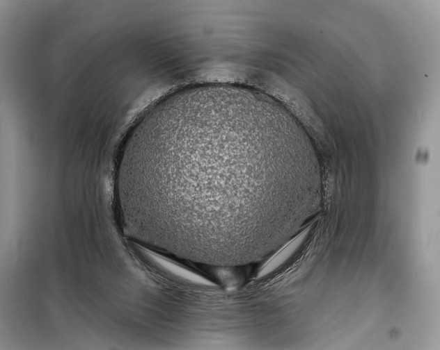X0000097990064200804071203