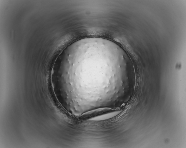 X0000097990066200804071203