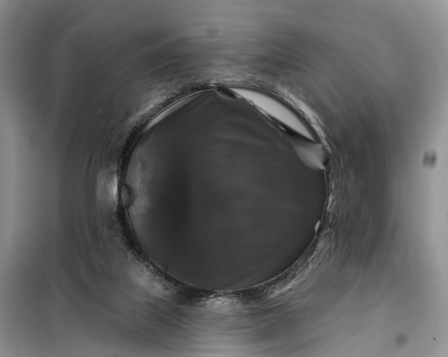 X0000097990067200804071203