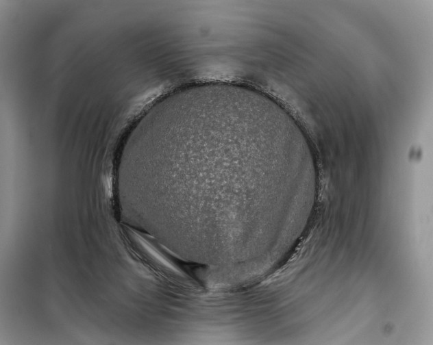 X0000097990068200804071203