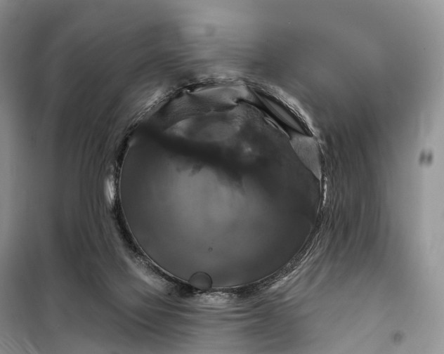X0000097990069200804071203