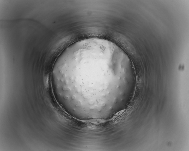 X0000097990070200804071203