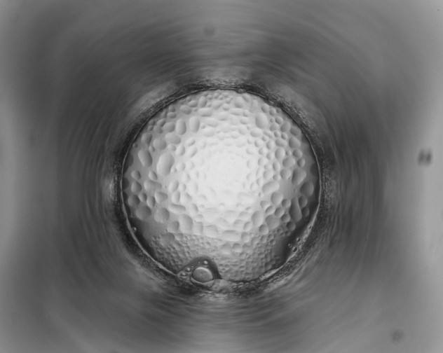 X0000097990071200804071203