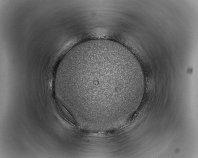 X0000097990072200804071203