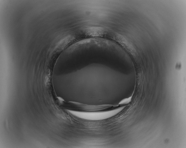 X0000097990073200804071203