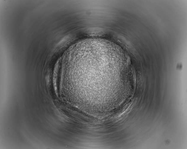 X0000097990074200804071203