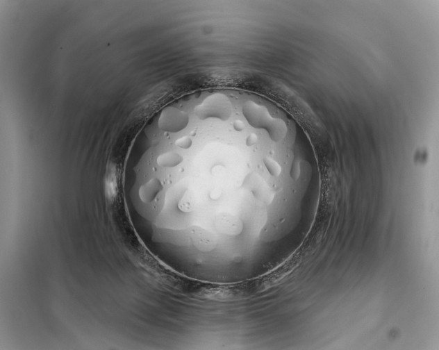 X0000097990075200804071203