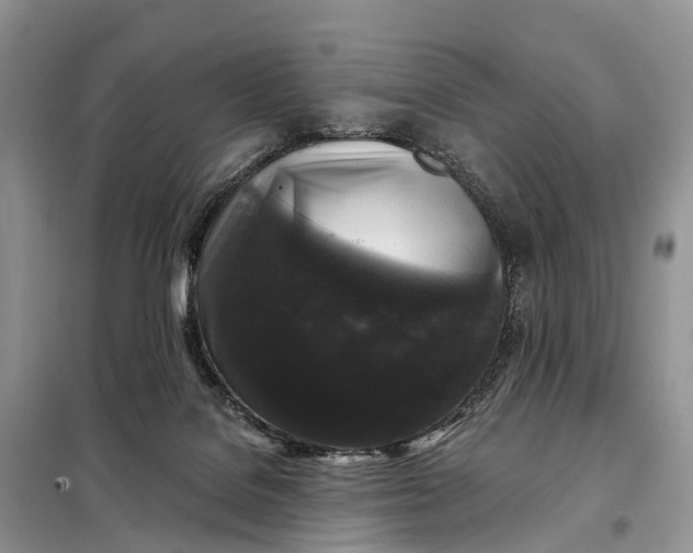 X0000097990076200804071203