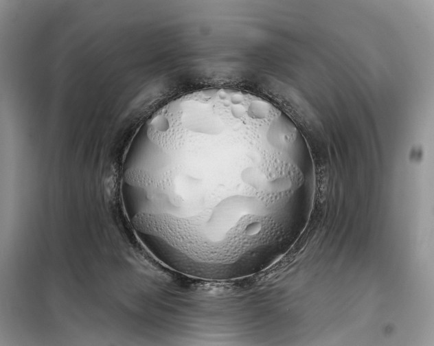 X0000097990077200804071203