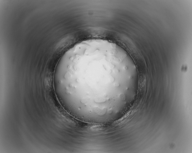X0000097990078200804071203