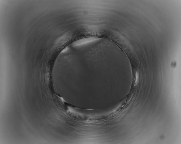 X0000097990080200804071203