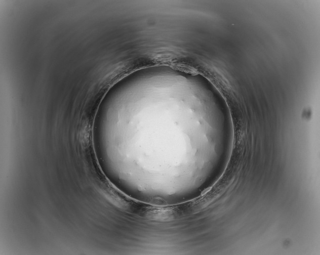 X0000097990081200804071203