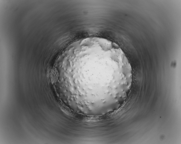 X0000097990082200804071203