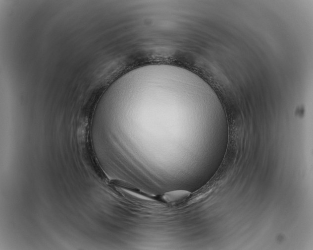 X0000097990083200804071203