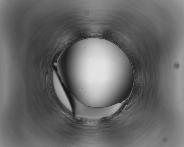 X0000097990084200804071203