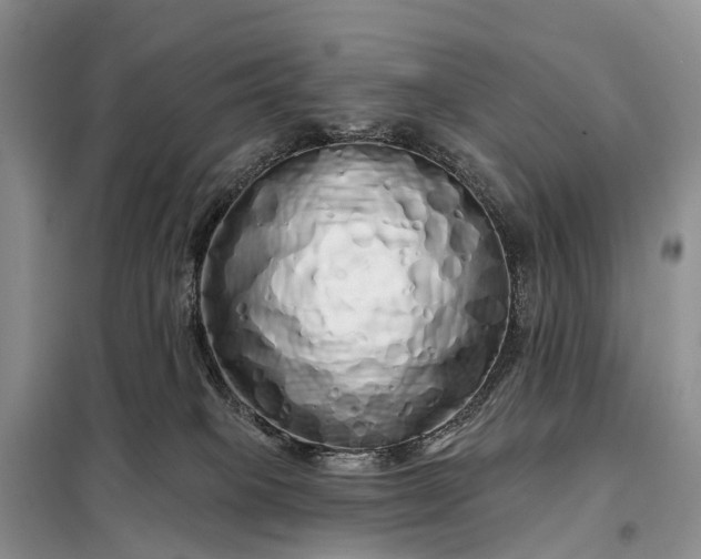 X0000097990085200804071203