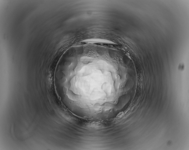 X0000097990086200804071203