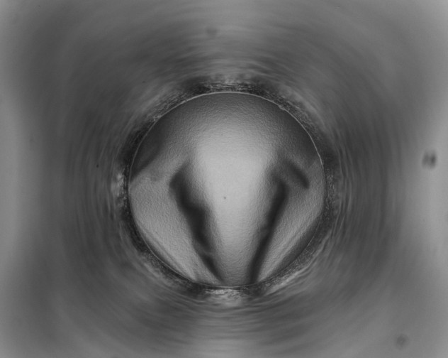 X0000097990087200804071203
