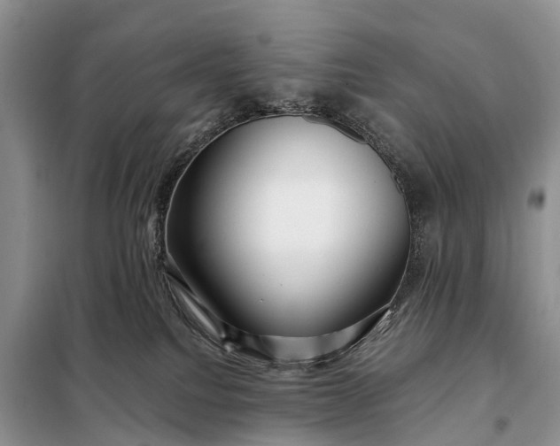 X0000097990088200804071203