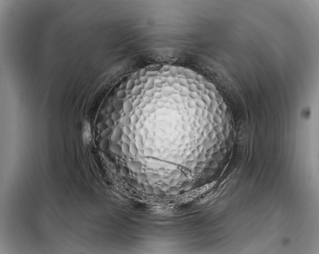 X0000097990089200804071203