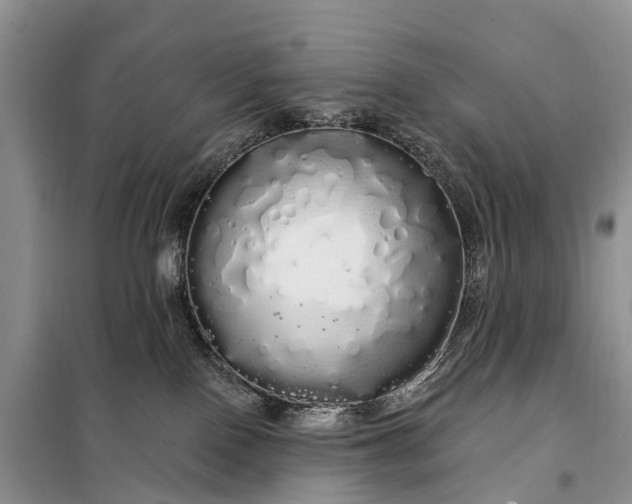 X0000097990090200804071203