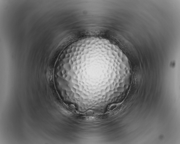 X0000097990091200804071203
