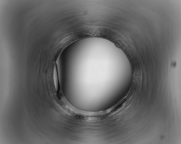 X0000097990092200804071203