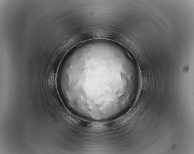 X0000097990093200804071203