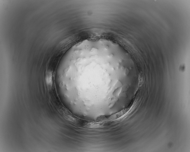 X0000097990094200804071203
