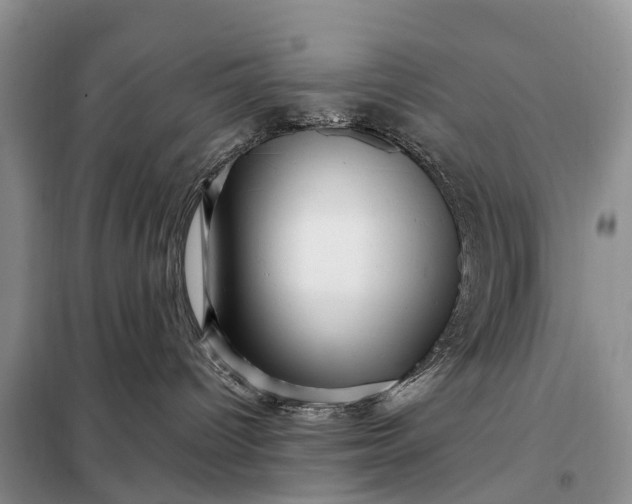X0000097990096200804071203