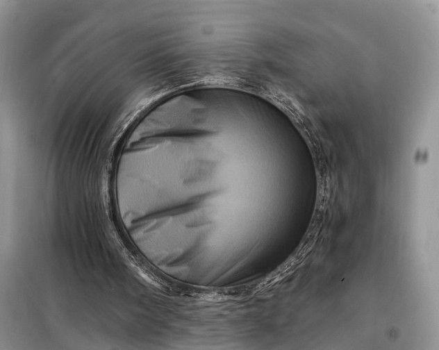 X0000097990098200804071202