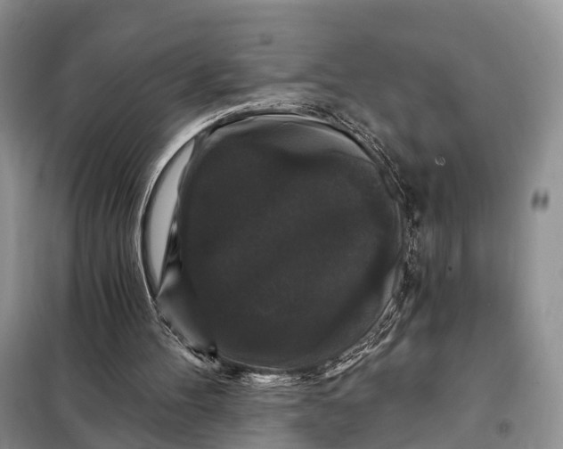 X0000097990100200804071202