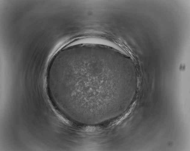 X0000097990101200804071202