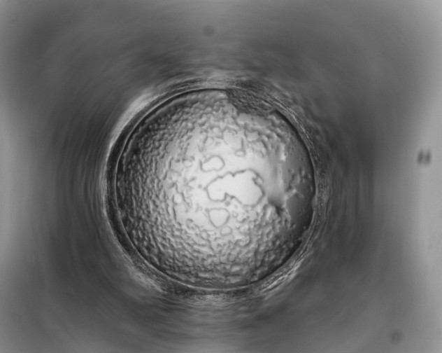 X0000097990102200804071202