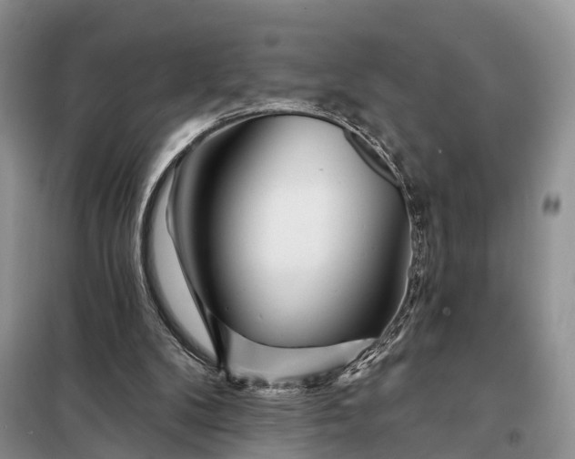 X0000097990104200804071202