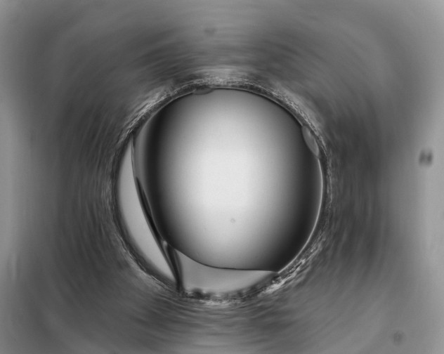 X0000097990105200804071202