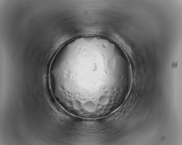 X0000097990107200804071202
