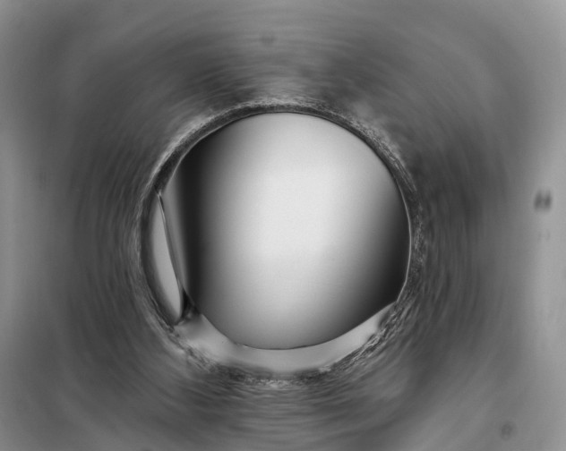 X0000097990108200804071202