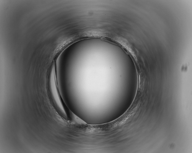 X0000097990109200804071202