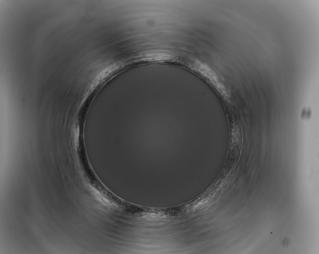 X0000097990110200804071202