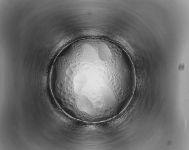 X0000097990111200804071202
