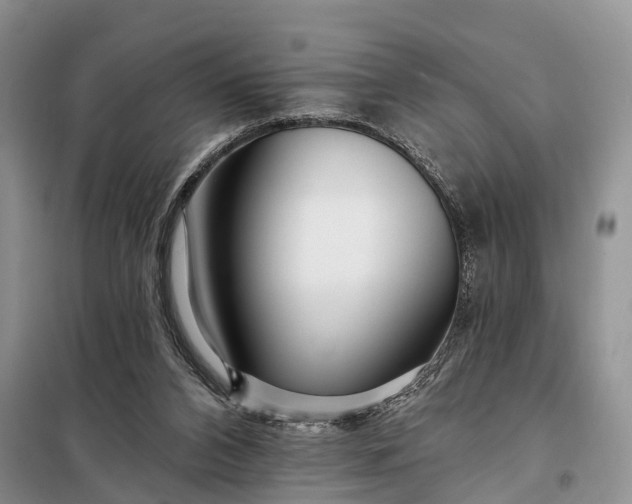 X0000097990112200804071202