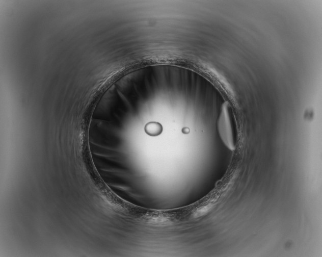 X0000097990113200804071202